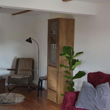Ferienwohnung Grafenland Dersum المظهر الخارجي الصورة
